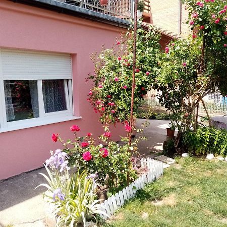 Apartman Vesna Ovcar Banja Exteriör bild