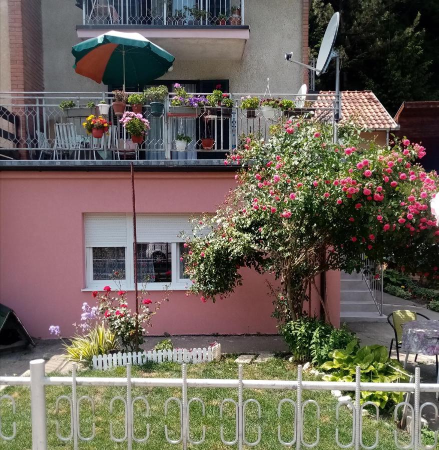 Apartman Vesna Ovcar Banja Exteriör bild