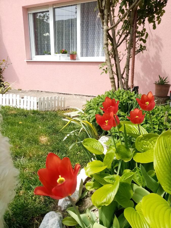 Apartman Vesna Ovcar Banja Exteriör bild